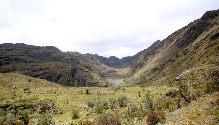 Páramo de Santurbán - Carlos Ramírez.