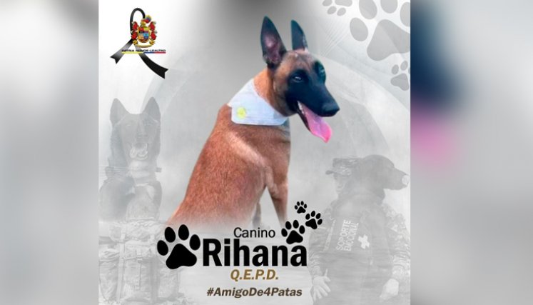 Rihana