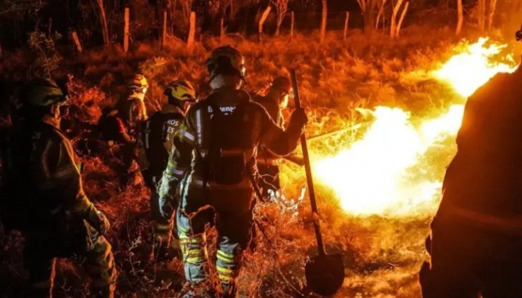 _tolima-emergencia-ambiental-fuego. Foto: Bomberos de Bogotá