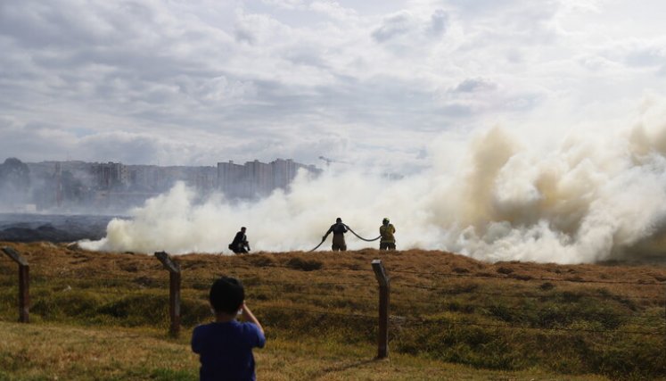 Continúa la emergencia: Incendios forestales han afectado más de 22.000 hectáreas en Tolima