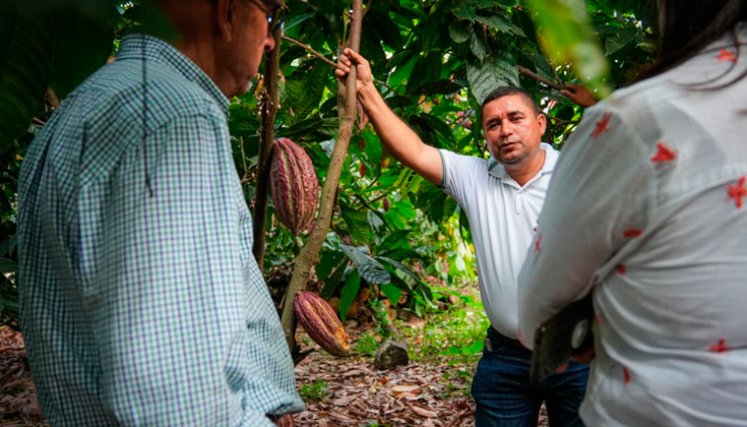 Productores. / Foto:  cortesía de Fondo Colombia en Paz