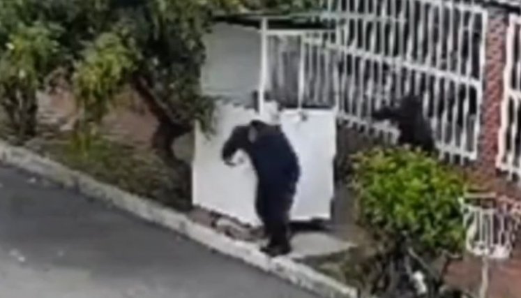 Ataque a vigilante, Bogotá