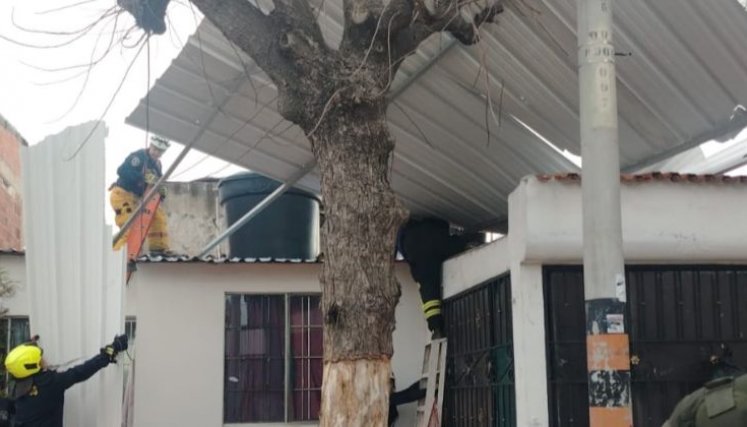 Cuatro cubiertas de viviendas se vieron afectadas en Los Patios.