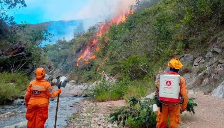 Incalculables pérdidas dejan incendio forestal en zona rural de Ábrego. Fotos Carlos Ramírez.