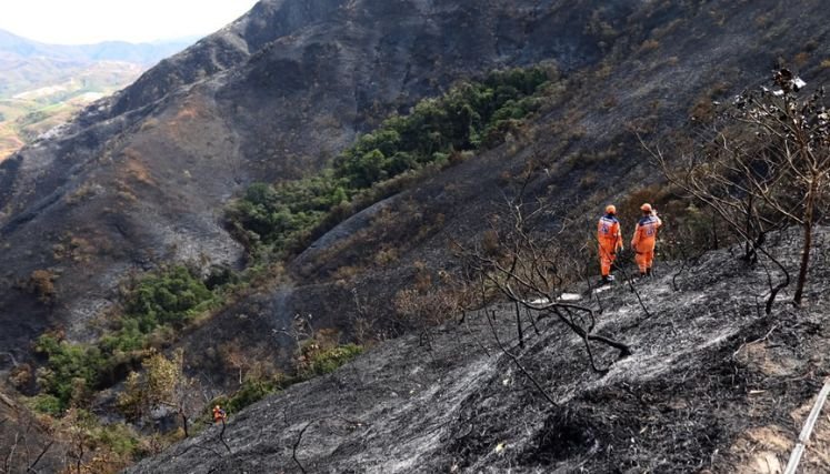 Incalculables pérdidas dejan incendio forestal en zona rural de Ábrego. Fotos Carlos Ramírez.