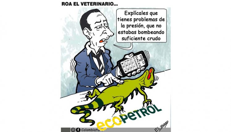 Roa el veterinario