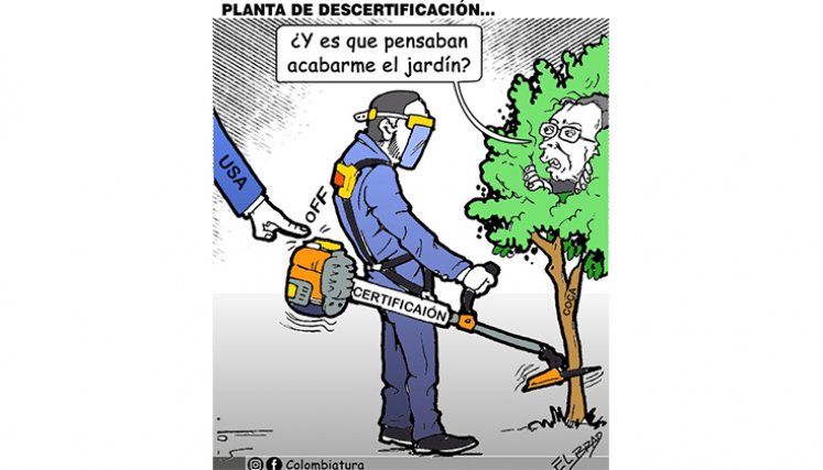 Planta de descertificación