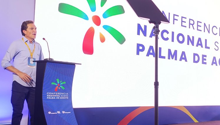 Nicolás Pérez Marulanda, presidente ejecutivo de Fedepalma. / Foto: Leonardo Favio Oliveros-La Opinión