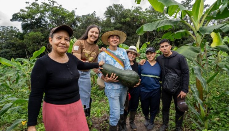 Cuando llega el tiempo de la cosecha la satisfacción de los productores se nota en sus rostros/Foto: Cortesía