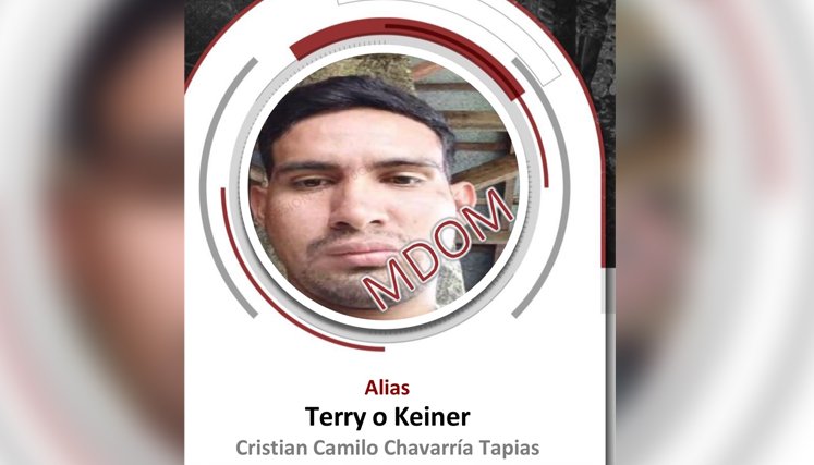 ALIAS TERRY 