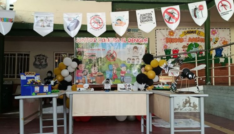 Acciones del IDS contra el dengue.