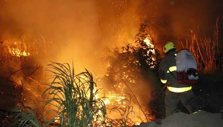 Alerta roja en Cúcuta por incendios forestales. Foto: Cortesía