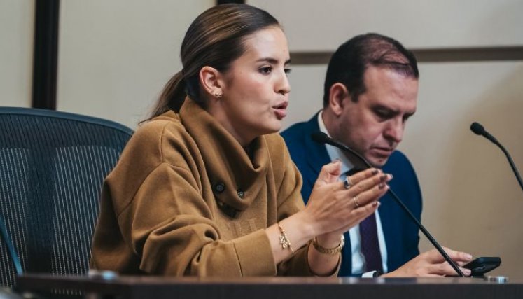Represetante a la Cámara, Diana Riveros, coordinadora de la Comisión de Asuntos Fronterizos./Foto: Cortesía