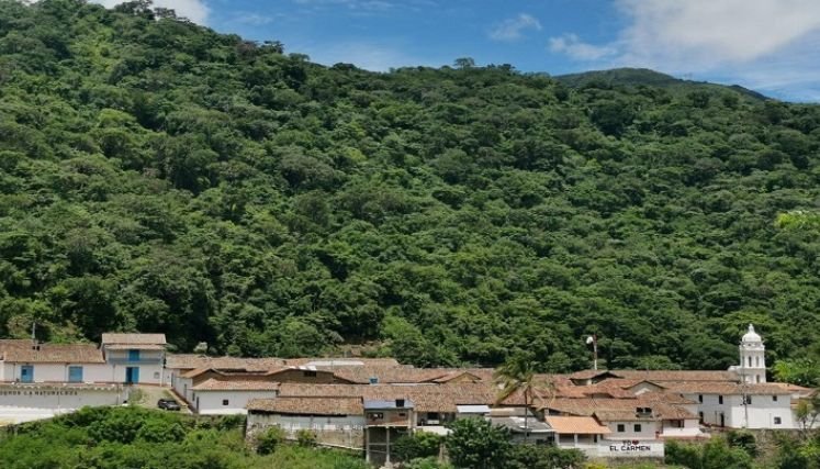 Líderes sociales claman desescalar el conflicto en la zona del Catatumbo.