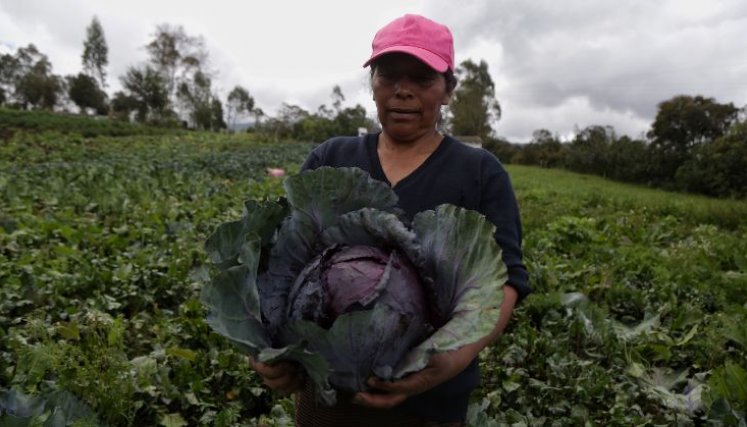 MUJERES CAMPESINAS 