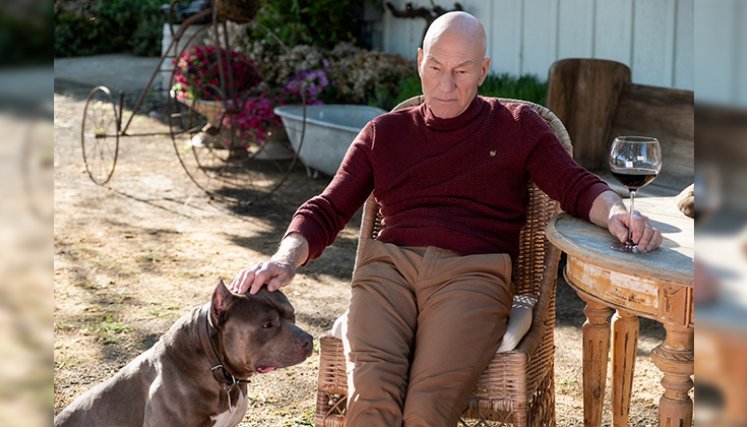PATRICK-STEWART.