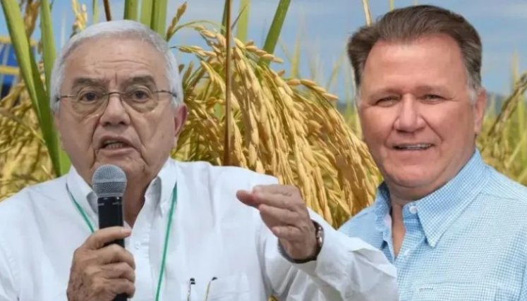 “No siembren arroz, no es rentable; siembren marañón”: la polémica frase del ministro de Agricultura