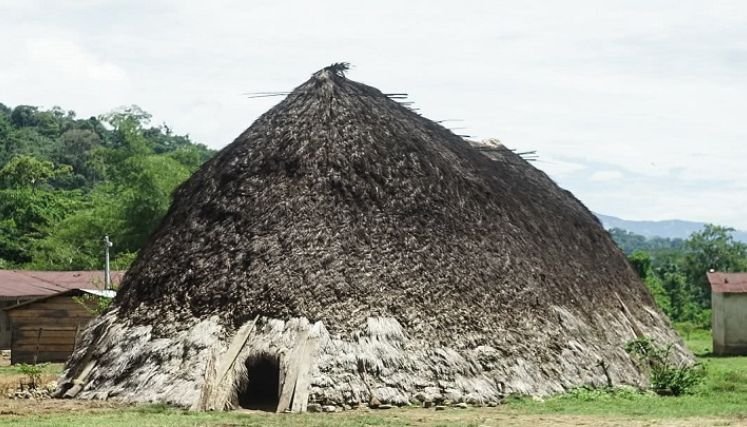 S.O.S. lanza indígenas ante brotes de paludismo en el Catatumbo.