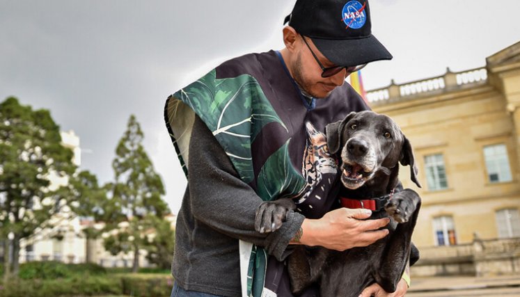 Tribunal ordena reglamentar en tres meses la presencia de mascotas en los lugares de trabajo