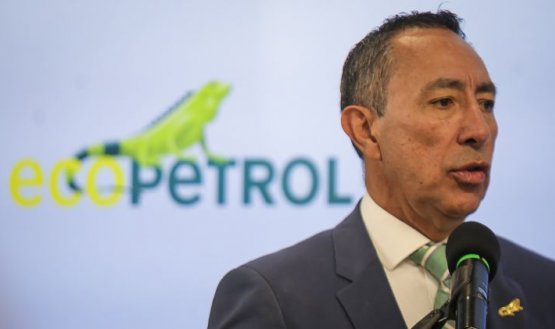 RICARDO ROA 