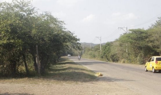 Vereda Patillales