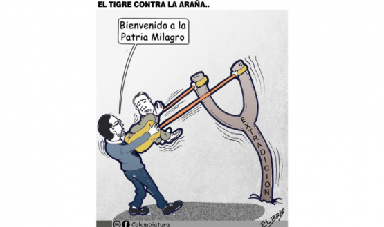 El tigre contra la araña...
