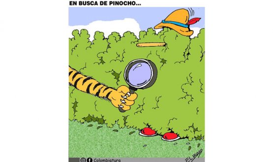 En busca de pinocho...
