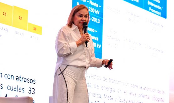 Ministra de Minas y Energía, María Nohemí Arboleda. / Foto: cortesía