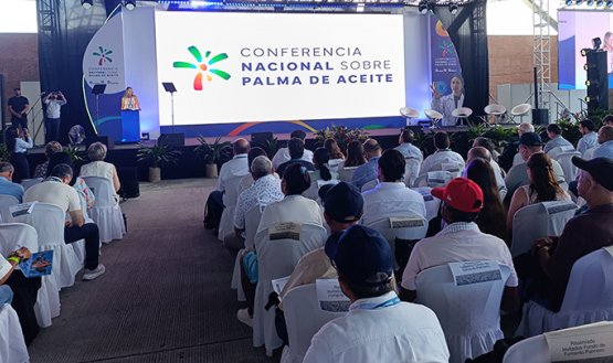 Conferencia Nacional sobre Palma de Aceite. / Foto: Leonardo Favio Oliveros-La Opinión