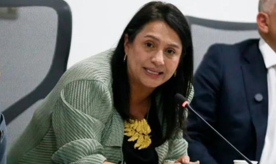 Citan a Paola Holguín, MinCultura, a debate de control político por retiro de obras del Museo Nacional