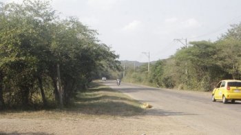Vereda Patillales