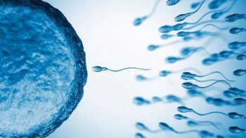OMS impulsa nuevos anticonceptivos masculinos: podrían llegar al mercado en 5 a 10 años