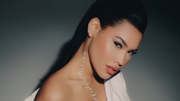 Ana del castillo embarazada.