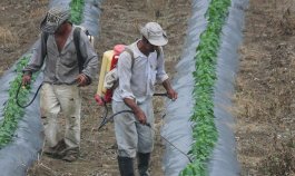 Fertilizantes. / Foto archivo