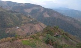 La tala indiscriminada de bosques preocupa a las autoridades ambientales de la provincia de Ocaña y sur del Cesar.