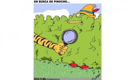En busca de pinocho...