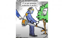 Planta de descertificación