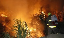 Alerta roja en Cúcuta por incendios forestales. Foto: Cortesía