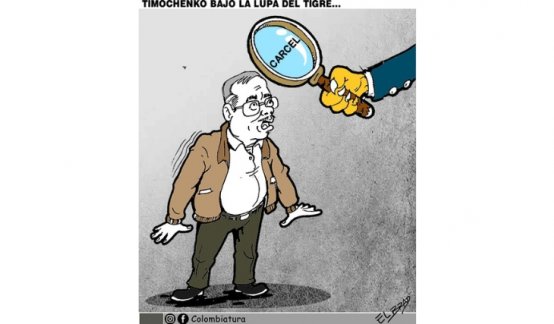 Caricatura, Timochenko bajo la lupa del tigre.