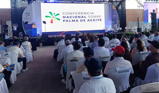 Conferencia Nacional sobre Palma de Aceite. / Foto: Leonardo Favio Oliveros-La Opinión