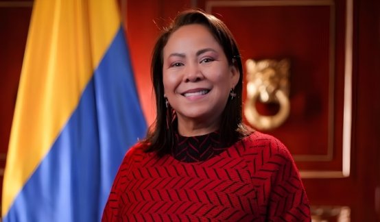 yolanda-wong-demanda-perdida-investidura-consejodeestado
