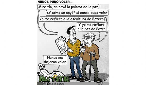 Nunca pudo volar