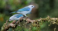 •	Turismo de naturaleza, nacional y rural, las principales tendencias para el próximo año. / Foto: Colprensa