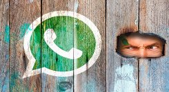 La actualización de las políticas de seguridad de WhatsApp incitó la migración masiva a otras apps de mensajería. Foto Cortesía