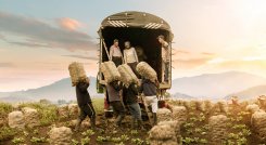 La compañía se embarcó este 2021 en un ambicioso proyecto de expandir su capacidad de producción para continuar desarrollando la categoría a partir del inigualable sabor de las papas cultivadas y cosechadas por manos campesinas colombianas. / Foto: Cortesía