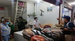 Los pescados son traídos por lo general desde el río Magdalena. / Foto: Cortesía