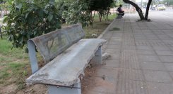 Paseo-Rojo-y-Negro