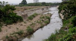 Vecinos aseguran que la tranquilidad se rompe todos los días por los malos olores./Foto Alfredo Estévez