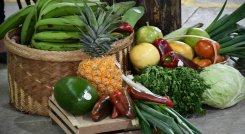 Son 34 asociaciones de 14 municipios beneficiando a 2.230 familias de la red de productores con asistencia técnica agropecuaria /Cortesía /La Opinión