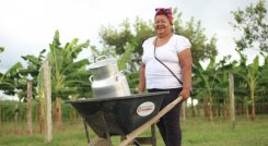 La política de Restitución de Tierras tiene como uno de sus pilares la transversalización del enfoque diferencial y de género. / Foto: Cortesía